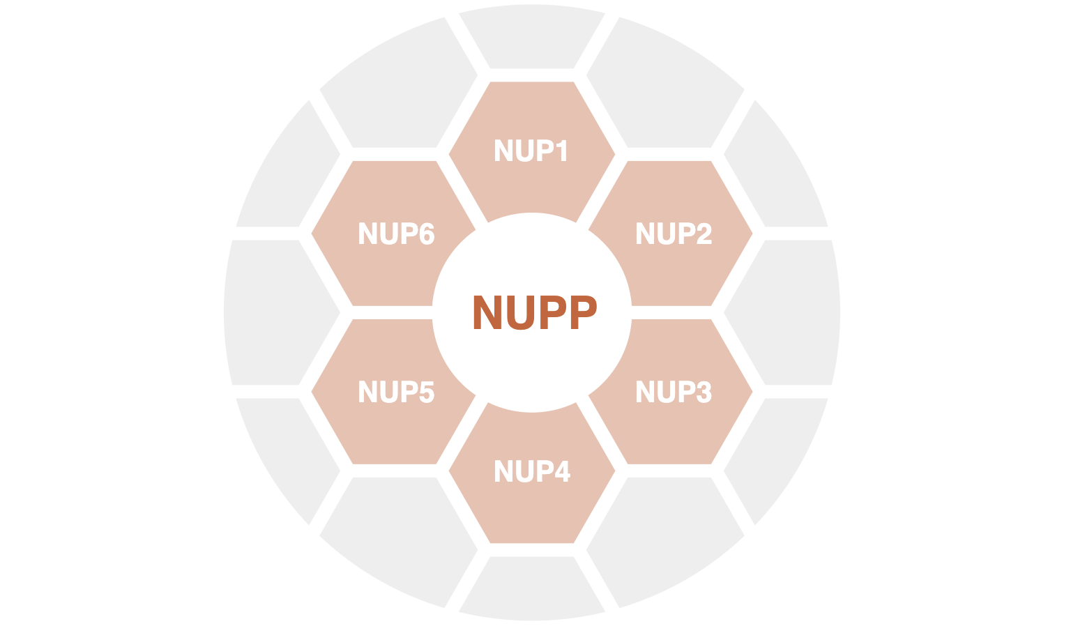 Схема принципов NUPP